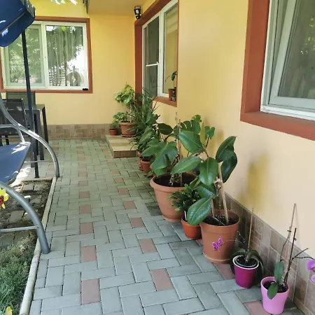 Nice And Cozy Apartment Mangalia